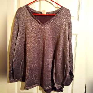 Reddish Gold Sparkly Long Sleeved Top